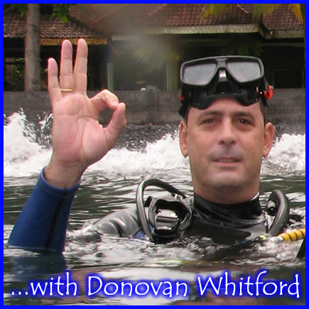 donovan, donovan whitford, myKupang, my, kupang, my kupang, Dive Alor, Alor Dive, scuba, Diving Alor, Diver, Divers, Indonesia, Asia, Eastern Indonesia, Big Fish, Sharks, Dolphin, Sunfish, Orcas, Whalesharks, Mantas, Land Based, Liveaboard, Underwater, Holidays, eco, resort, resorts, island, islands, NTT, Nusa Tenggara Timur, East Nusa Tenggara, Indonesia