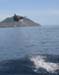 divingdolphin03